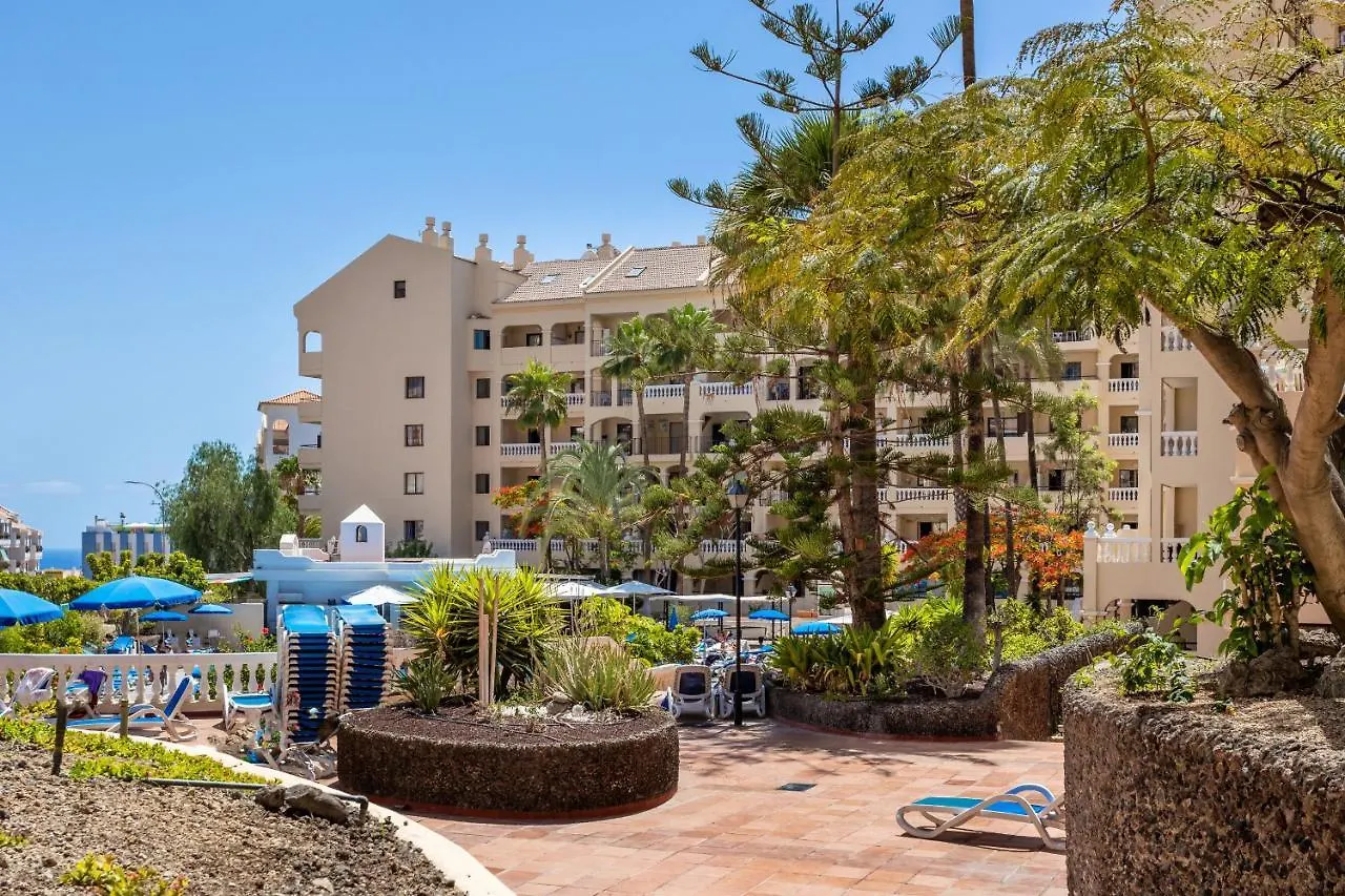 Castle Harbour Phoebe'S Flat Los Cristianos By Lovetenerife Daire